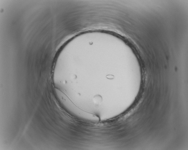 X0000064731505200603131240