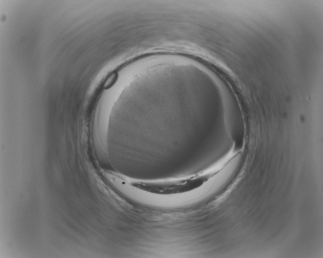 X0000064731506200603131240