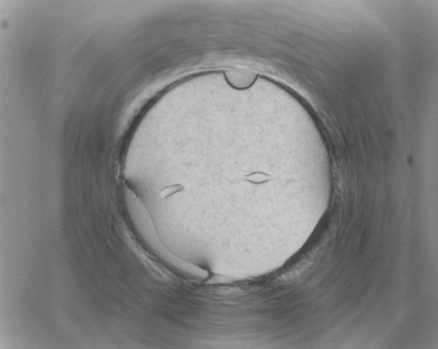 X0000064731507200603131240