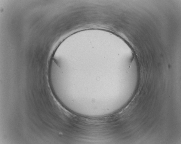 X0000064731508200603131240