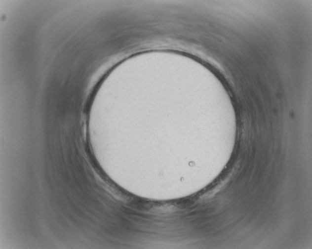 X0000064731509200603131240