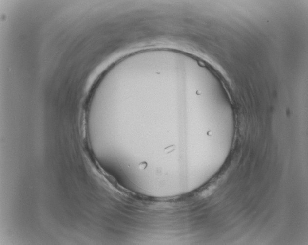 X0000064731510200603131240