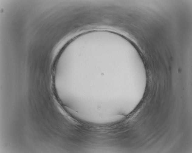 X0000064731511200603131240