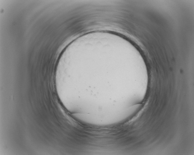 X0000064731513200603131240