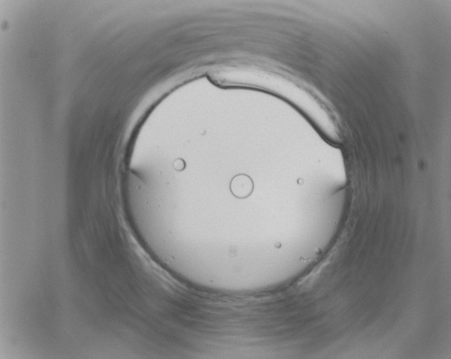 X0000064731514200603131240