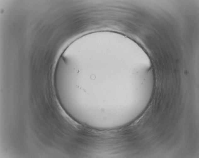 X0000064731516200603131240