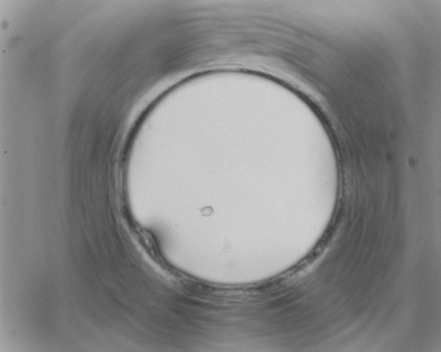 X0000064731517200603131240