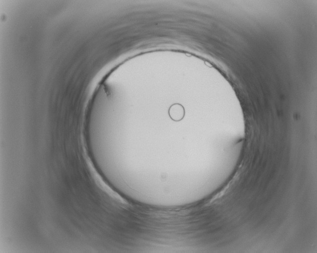 X0000064731518200603131240