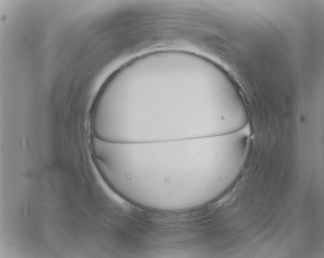 X0000064731519200603131240