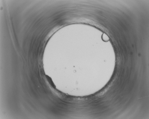 X0000064731521200603131240