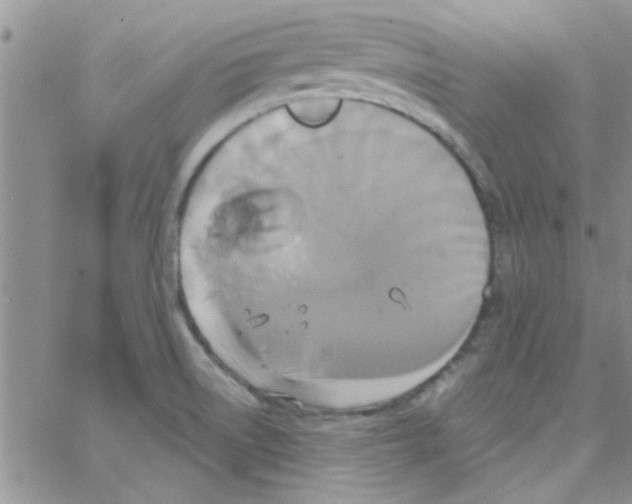 X0000064731522200603131240