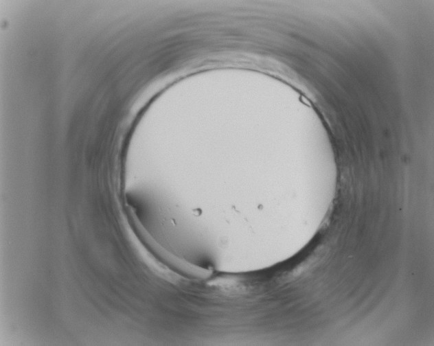 X0000064731523200603131240