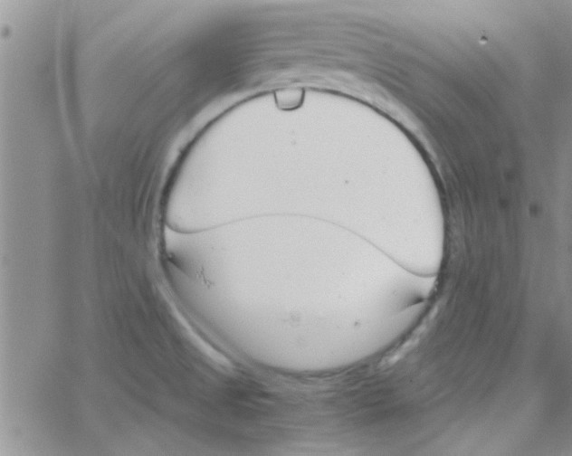 X0000064731525200603131240