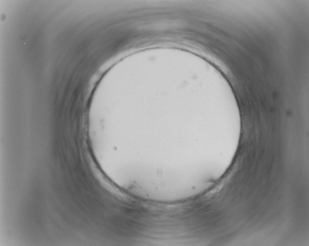 X0000064731526200603131240