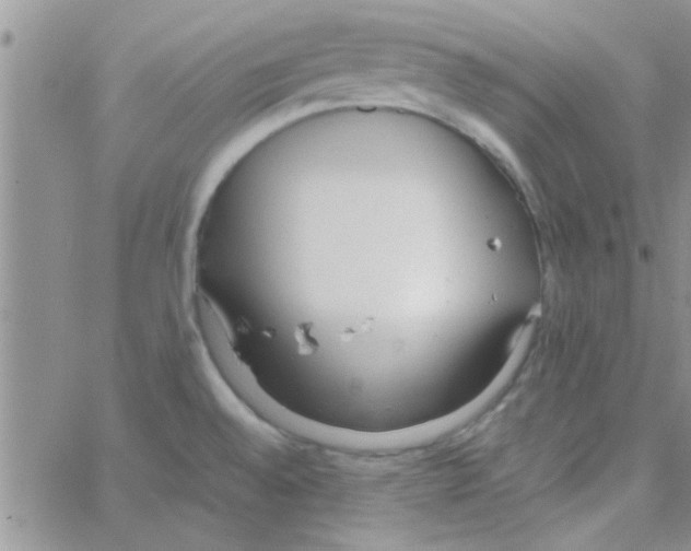 X0000064731528200603131240