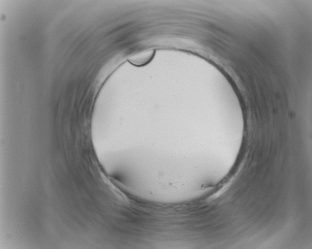 X0000064731529200603131240