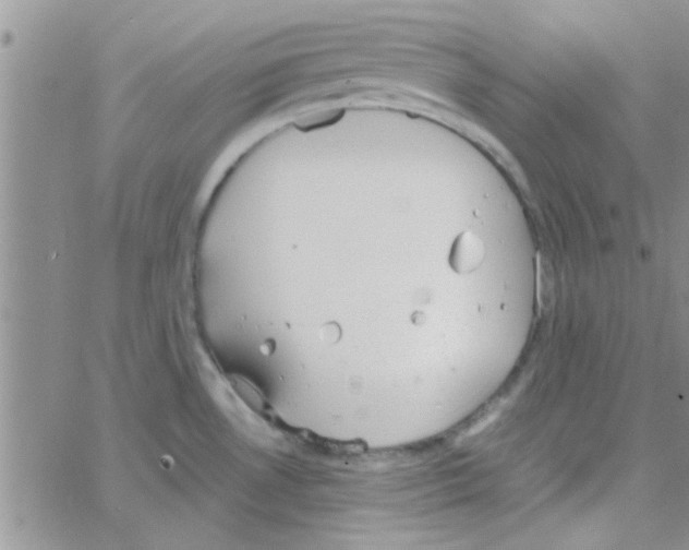 X0000064731530200603131240