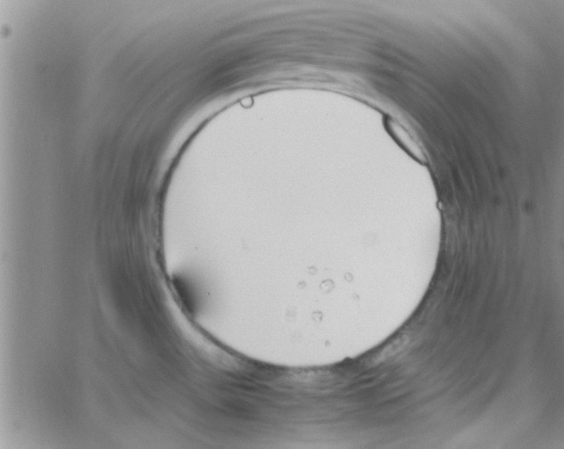 X0000064731531200603131240