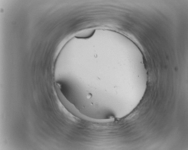 X0000064731532200603131240