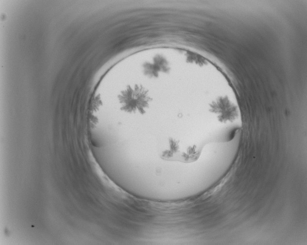 X0000064731534200603131240