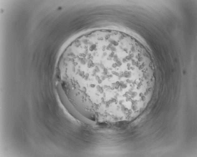 X0000064731536200603131240