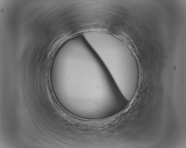 X0000064740001200602100945