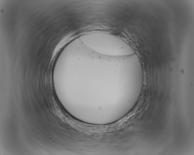 X0000064740004200602100945