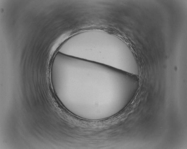 X0000064740006200602100945