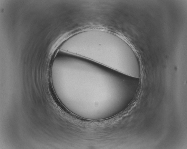 X0000064740007200602100945