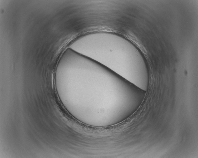 X0000064740014200602100944