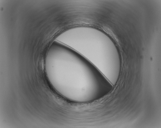 X0000064740021200602100944