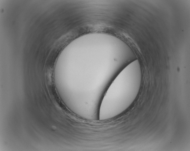 X0000064740026200602100944