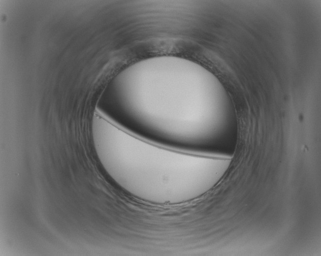X0000064740035200602100944