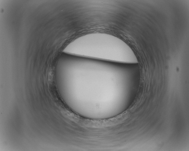 X0000064740037200602100944