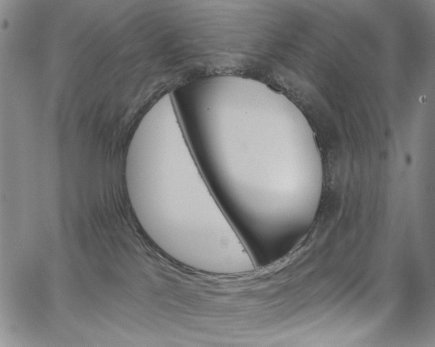 X0000064740041200602100944