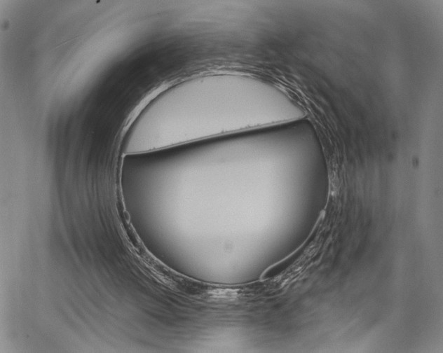 X0000064740052200602100943