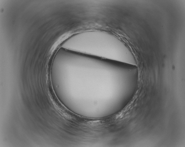 X0000064740054200602100943