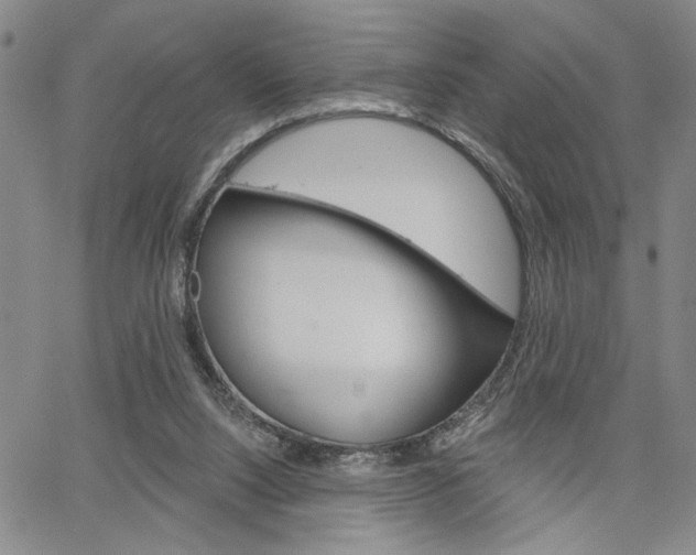 X0000064740064200602100943