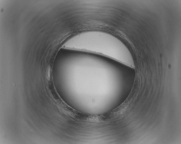 X0000064740076200602100944