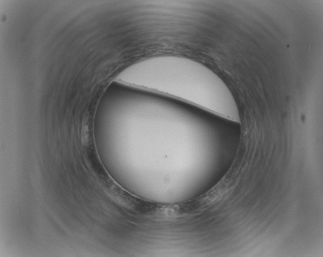 X0000064740080200602100944