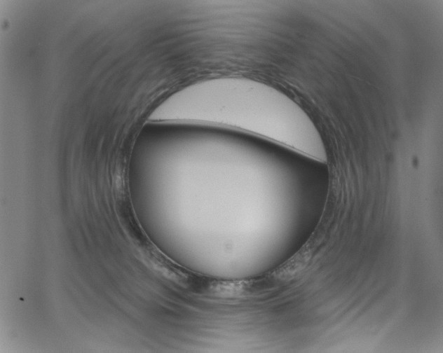 X0000064740084200602100944