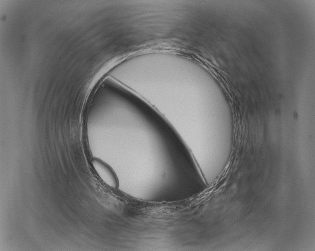 X0000064740100200602100943