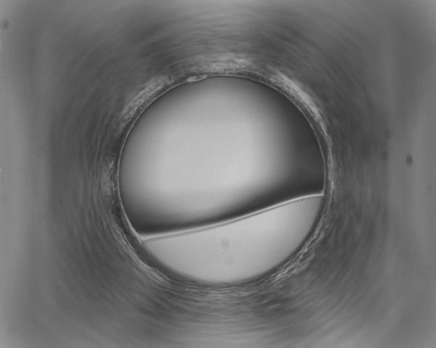 X0000064740105200602100943