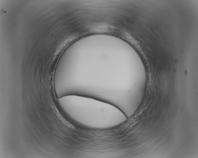 X0000064740106200602100943