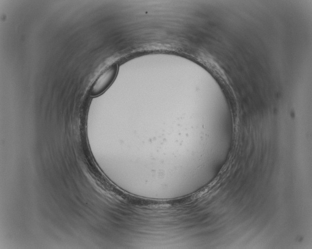 X0000064740108200602100943