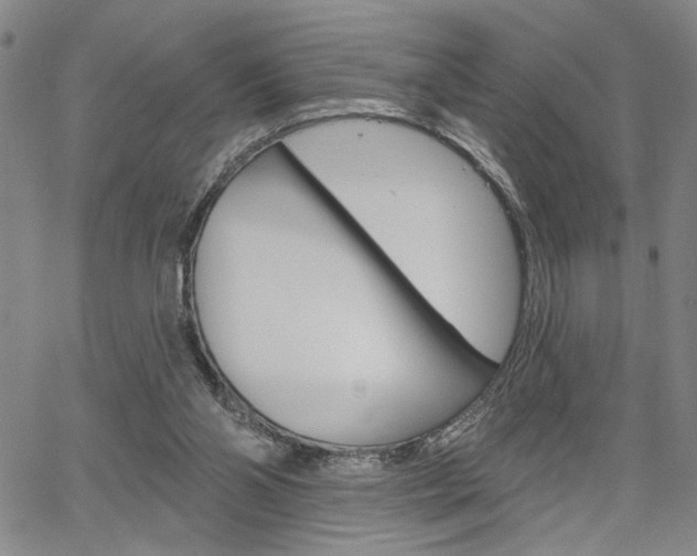 X0000064740110200602100943