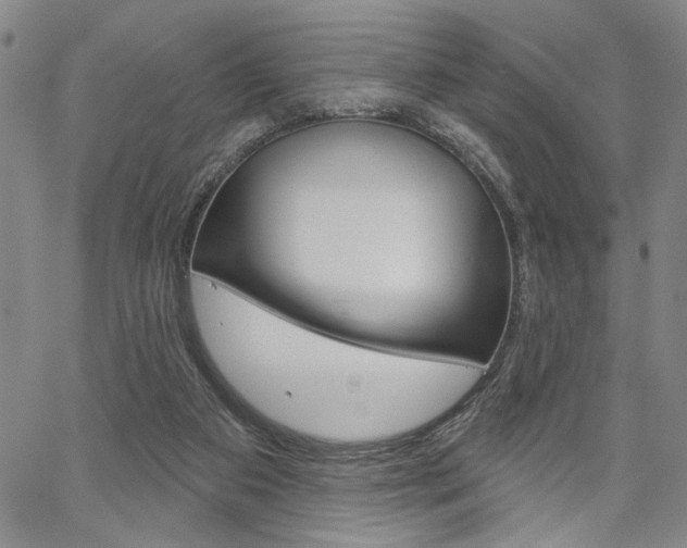 X0000064740113200602100943