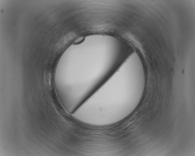 X0000064740115200602100943
