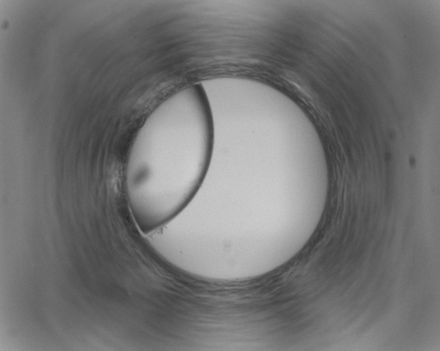 X0000064740125200602100943