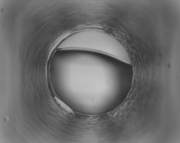 X0000064740148200602100942